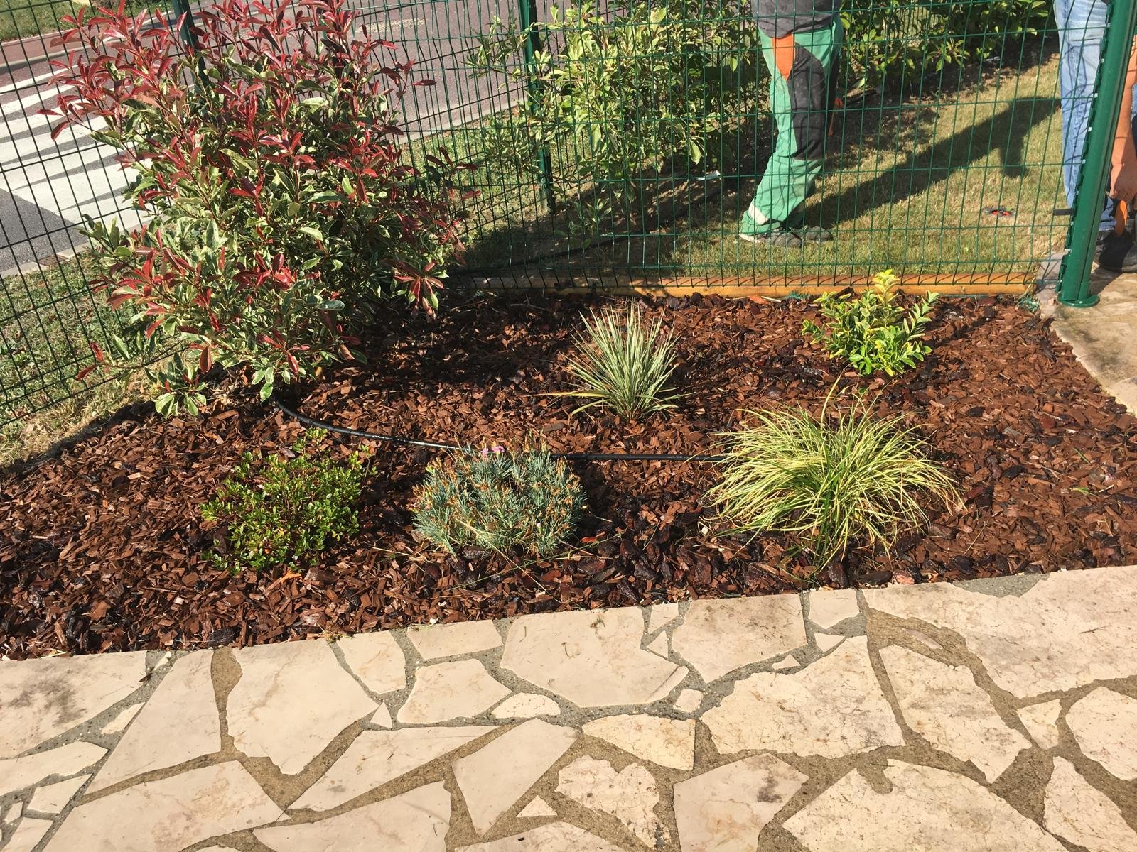 parterre avec pavage